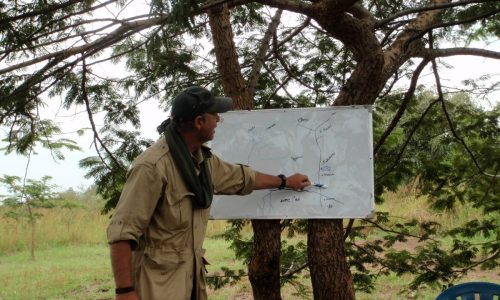 African Conflict and Politics – Module 1